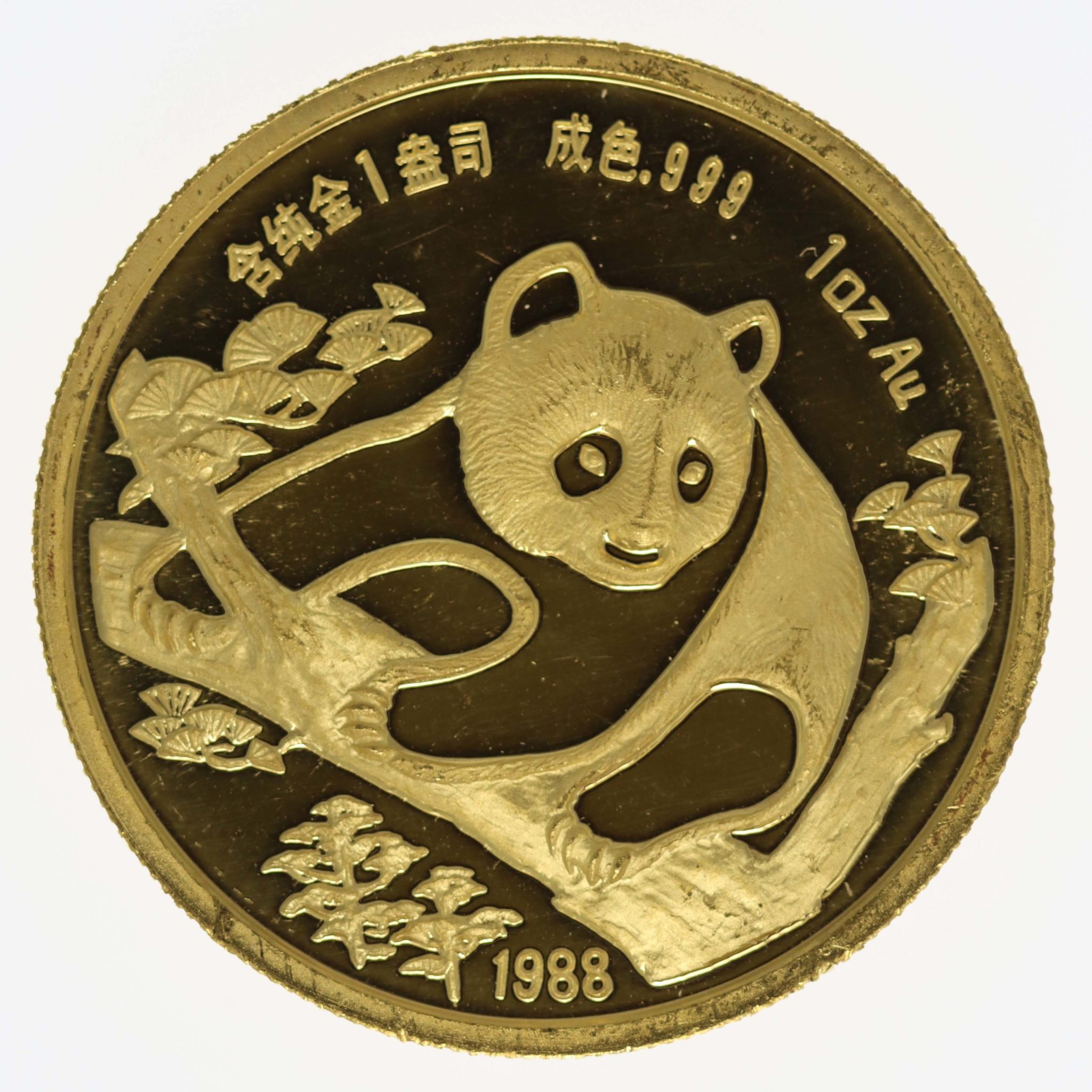 China Panda 1 Unze 1988 Coin Show Munich